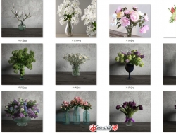 分享12个花卉植物盆栽模型