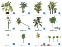热带3D植物大全