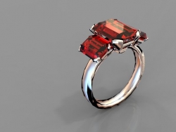 ring by hs