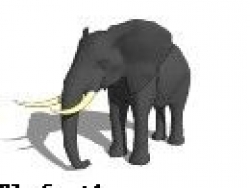 大象模型（小分享）