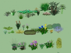 自己收集的3D 灌木+花草