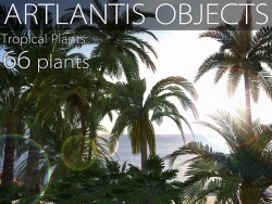 ARTLANTIS OBJECTS【热带植物】