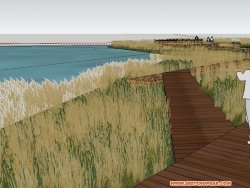 湿地景观模型