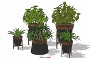一套绿植盆栽模型+材质贴图