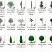 个人分享二百个2D和3D植物