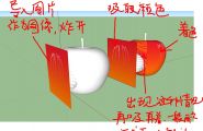 怎样用SU做苹果