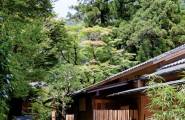 【庭院景观】京都星之野温泉
