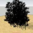 【已解决】请问为什么下载的SU树木组件完全是黑色的？