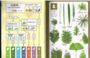 叶问—很好的一本书，学植物、认植物必备！