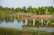 奥雅项目《漳州碧湖公园》实景照片