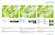 南京仙林大学城景观规划设计－泛亚易道