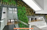 深圳某办公大楼改建的垂直种植系统！