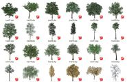 80棵EVERMOTION地面树植物最终整理版