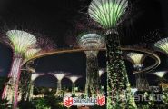 新加坡滨海湾花园景观设计中的超级大树