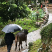 用石头写诗——泉州泉港樟脚村