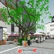 中式商业街改造项目