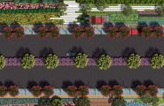 城市道路景观绿化设计技巧