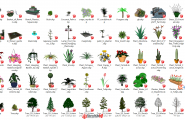 81种Sketch up植物模型素材