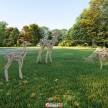 分享一组小鹿雕塑，用lumion8简单渲染了一下。