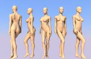 PD渲染练习之人体模型(模型放送中)